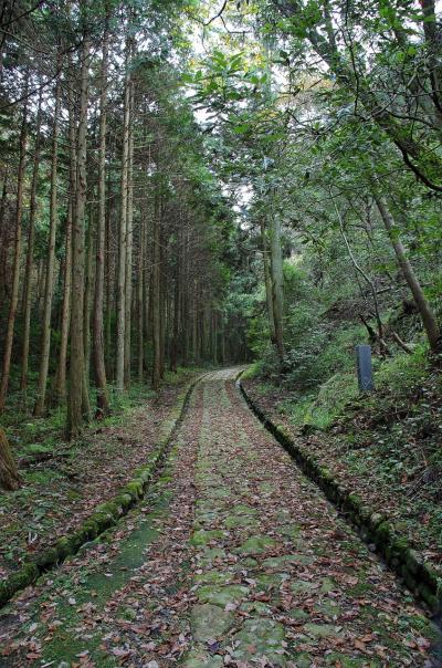 参勤交代も通った萩往還～一升谷下り無謀にも彦六の道をゆく