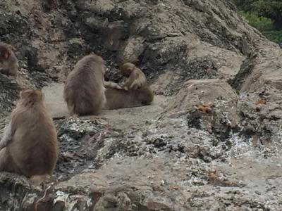 大阪　海遊館とみさき公園に遊びに行こう　Vol.2