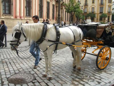 早春のスペイン周遊９日間親子旅 vol.4 やっと晴れたセビリア♪スペイン広場とのんびり歩いてみたくなる～サンタクルスの街♪