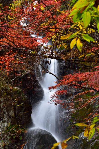 晩秋の鹿沼　～姿を見せた幻の秘滝＆阪神ファン必見のパワースポット？虎岩～