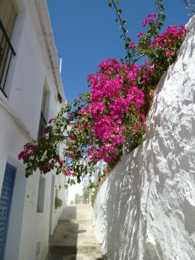 西へ西へ(10):アンダルシアの白い村、フリヒリアナへ