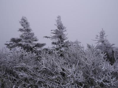 2015年:秋!家族で雪の八甲田山＆酸ヶ湯温泉に行く！（青森2泊3日の旅）家族で!