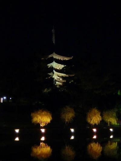 奈良旅行三日目：興福寺五重塔・猿沢の池の夜景