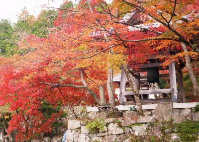 東近江路散策　　東光寺・芭蕉・世界凧博物館 東近江大凧会館