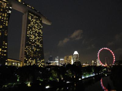 JGCに入るために　第3回③　OKA-SIN修行　シンガポール0泊3日弾丸　～ライトショーとチャンギ空港のラウンジを体験する～