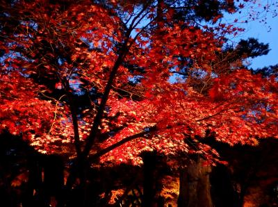 紅葉の長瀞を歩く日帰り旅【後編】～月の石もみじ公園・自然の博物館　紅葉まつり編～