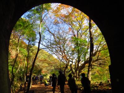 愛岐トンネル秋の公開散策