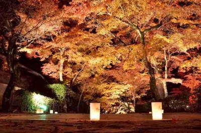 錦秋の秋！永源寺の紅葉ライトアップと湖国の迎賓館でランチ