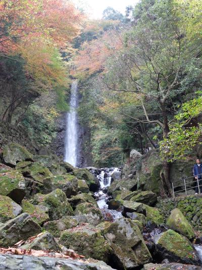 【2015年11月】岐阜で綺麗な水に出会う旅★2日目　2015/11/23