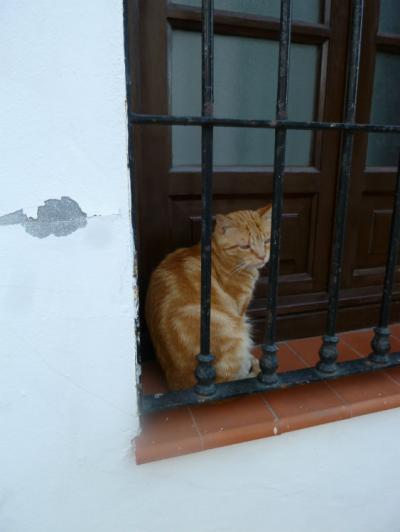 西へ西へ(11):ネルハ、気取らないバカンスの町