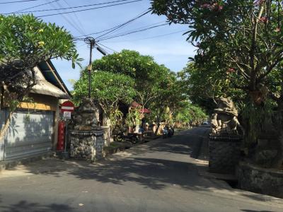 2015.11 Bali@ubud ウブドの朝の過ごし方