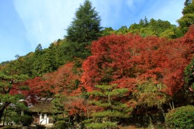 香嵐渓紅葉