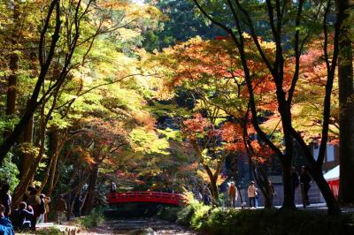 小國神社と鳳来寺山の紅葉