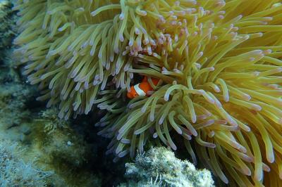 宇宙の果てまで旅しょう