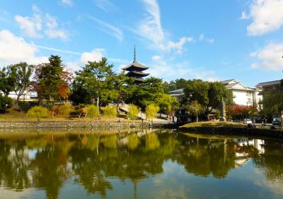 奈良県庁と五重塔と鹿さん