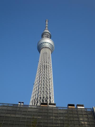 39．第二東京タワーと浅草寺、花やしき　いきなりの最終編(笑)