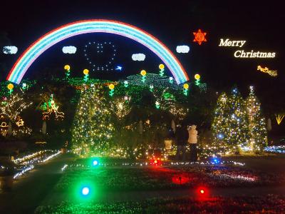 【クリスマス ファンタジー】あしかがフラワーパークのクリスマス