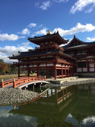 今年は近江神宮、三井寺、近江八幡に石山寺ライトアップへGOGO!名古屋飯を求めて寄り道したら思いがけず観光も楽しめた旅★3日目は宇治の平等院へ。