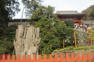 秋の古都鎌倉を散策　落ち着きのある寿福寺の参道