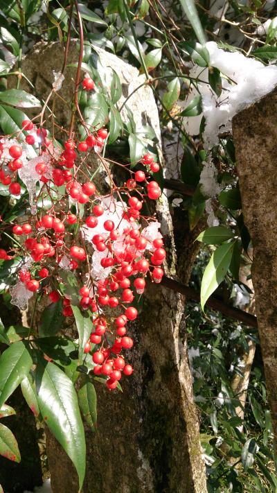 雪積もる京都＊鞍馬山～貴船神社＊