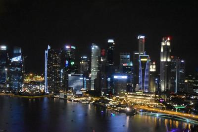 シンガポール~親への留年贖罪の旅~