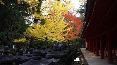 201411関西旅行　3日目【和歌山(高野山)、奈良、神戸(六甲山)】