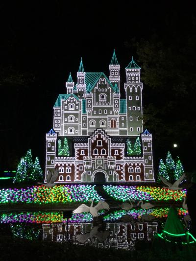 栃木県のイルミネーションは「あしかがフラワーパーク」以外でもなかなか素敵です。