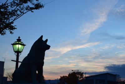 秋田犬と紅葉の大館から鳥潟会館を訪ねる旅（秋田）