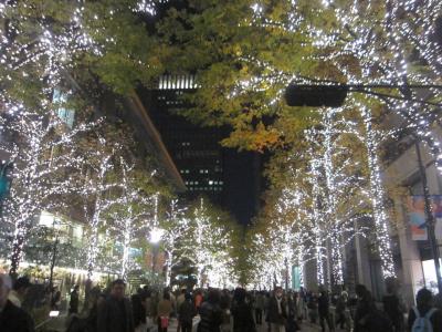 有栖川宮公園の紅葉 と 東京ILLUMINATION廻り