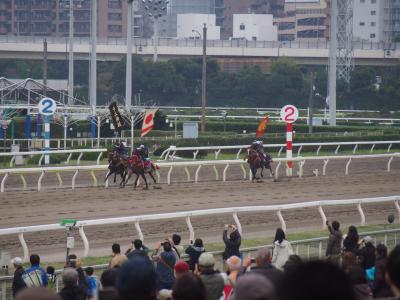 出張・相馬野馬追＠大井競馬場