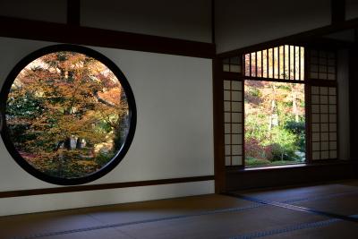 心残りないよう京都の紅葉を巡る！2015年