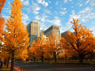 東京２０１５紅葉　【２】丸の内