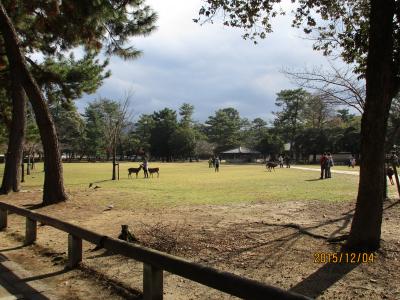 初冬の奈良を堪能する。