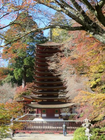 母と行く談山神社☆行きは近鉄、帰りはＪＲ♪～今年の紅葉は遅いのか、散ってしまったのか？！