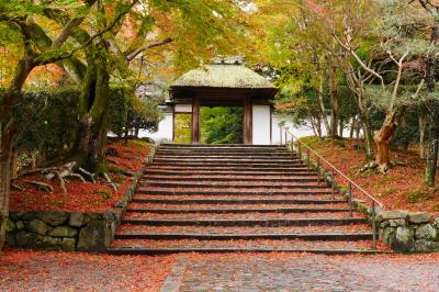 2泊3日京都の紅葉散策　その１