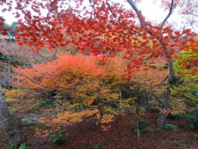 宝筐院（ほうきょういん）