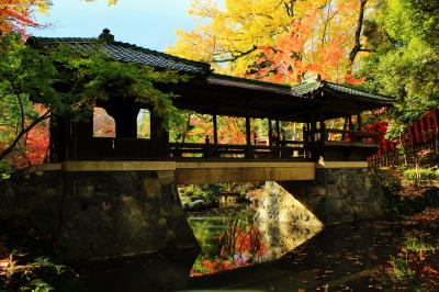 紅葉もいよいよフィナーレの名古屋揚輝荘　名古屋にもこんな素敵な所が♪