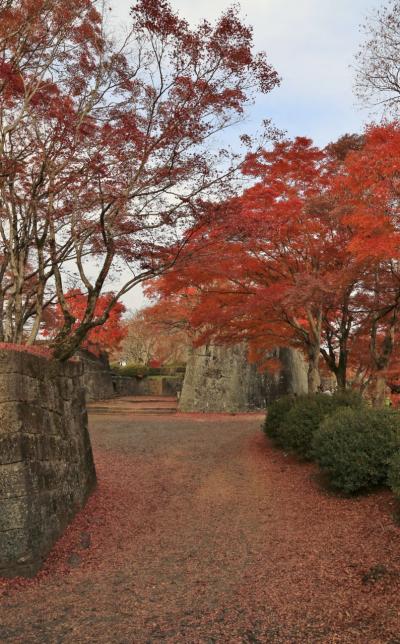 九州　滝と紅葉を巡るドライブ　（4）紅に染まった岡城址