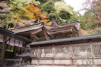 晩秋の美濃巡り