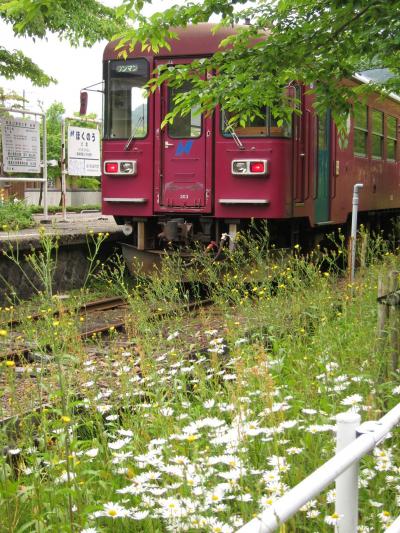 長良川鉄道～郡上八幡～白川郷～ＪＲ城端線（１）