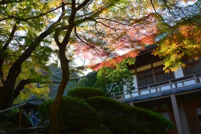 ちょこっと鎌倉　報国寺の紅葉