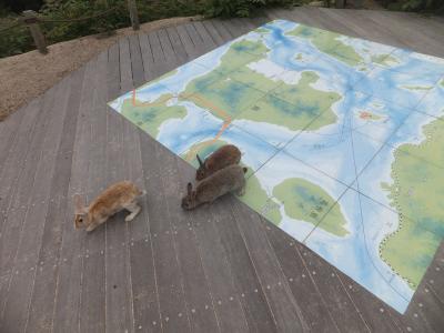 2015 平日広島アウェイ観戦とウサギの島散策【その５】うさぎ島でうさぎと戯れ（その２）