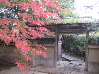 レンタカーで回る広島・山口・島根・鳥取の旅６日間⑥境港の水木しげるロードと足立美術館を楽しむ