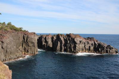 初冬の伊豆へ　いつもの仲間とのんびり1泊2日  [2]  ハーベストクラブ天城高原・城ヶ崎海岸