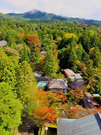 日光-2　輪王寺　本堂=三仏堂=大修理中　☆新名所・天空回廊から見学