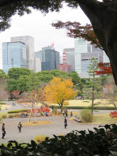 紅葉を求めて皇居・乾門より東御苑へ歩く①天守台～本丸～汐見坂