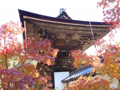円成寺：奈良市忍辱山(ﾆﾝﾆｸｾﾝ)町の寺は国宝・重要文化財でいっぱいでした