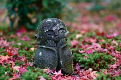 京都　圓光寺　紅葉 20151113