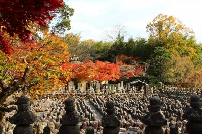 紅葉もいよいよフィナーレの高雄から東海自然歩道経て嵯峨野、嵐山を歩く♪