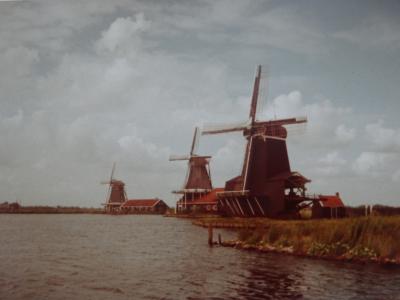 (2)1980年旧西欧(16か国)エジプト　パキスタン　インド　ネパール136日間放浪の旅(69)オランダ(ザーンセ・スカンスの風車)